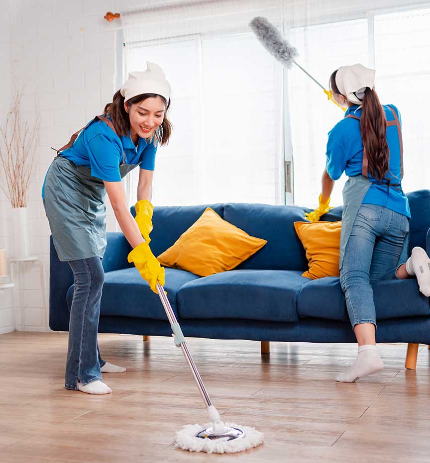 Professional Cleaning Services